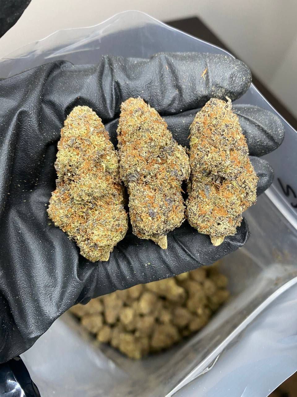 buy weed online
