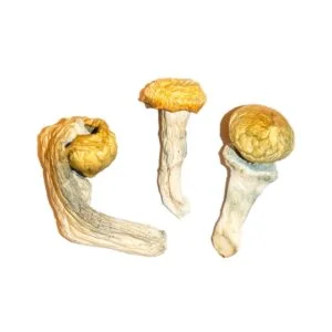 MDMA