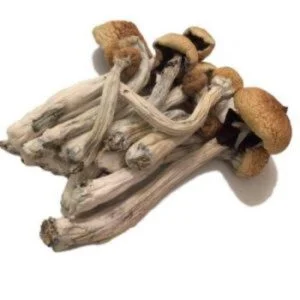 LSD