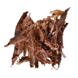 mimosa hostilis